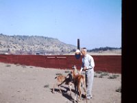 Grandpa Coop feeding deer 2